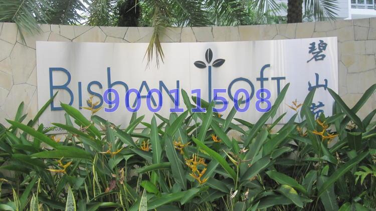 Bishan Loft (D20), Condominium #70100061
